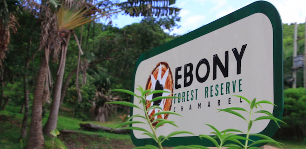 Ebony Forest Reserve
