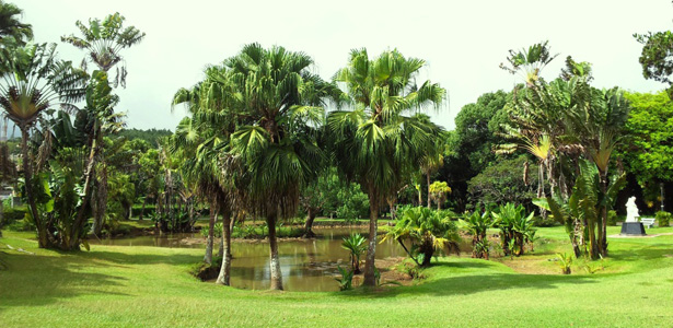 Jardin botanique de Curepipe
