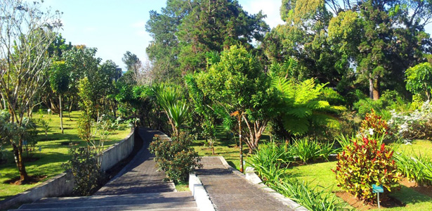 Montvert Nature Walk