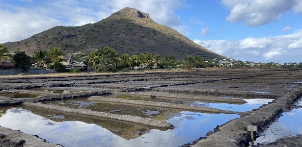 Salines de Yemen Tamarin