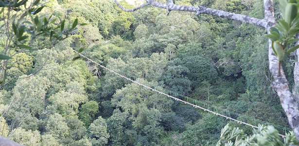 Lavilleon Adventure Park